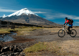 transporte puerta a puerta cotopaxi